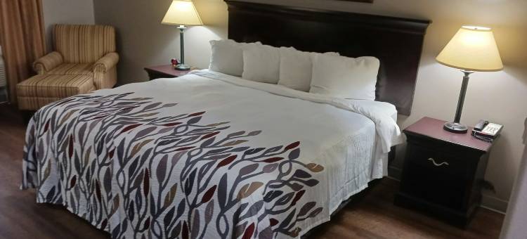 米德兰红屋顶套房酒店(Red Roof Inn & Suites Midland)图片