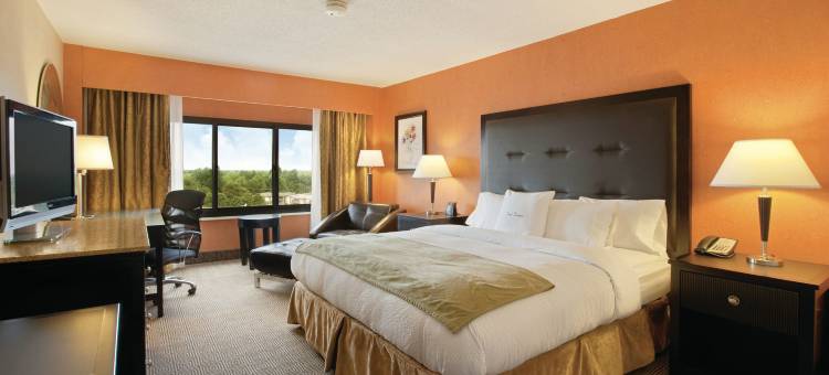 斯普林菲尔德希尔顿逸林酒店(DoubleTree by Hilton Hotel Springfield)图片