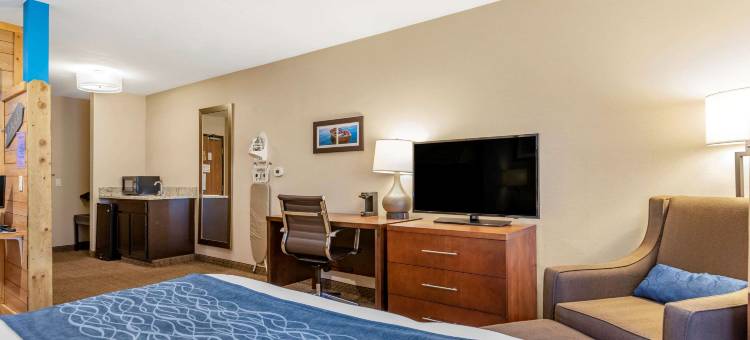 拉丁顿智选假日酒店(Comfort Inn Ludington Near US-10)图片