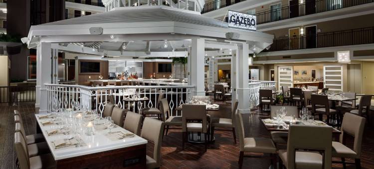希尔顿旗下奥兰多布埃纳维斯塔湖度假村大使套房酒店(Embassy Suites by Hilton Orlando Lake Buena Vista Resort)图片