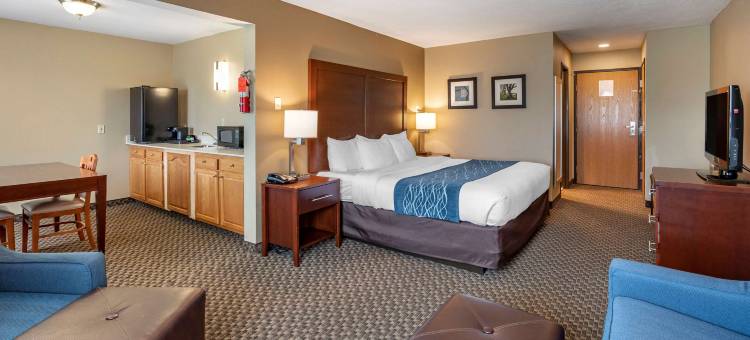 舒适套房酒店(Comfort Inn & Suites Napoleon)图片