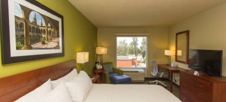 瓜达拉哈拉机场智选假日酒店(Holiday Inn Express GUADALAJARA AEROPUERTO by IHG)图片