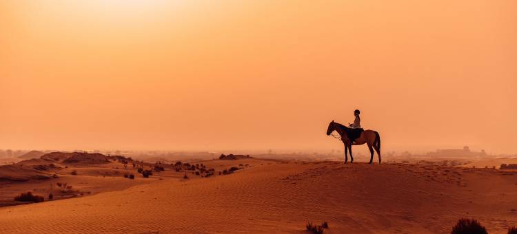 阿布扎比阿瓦扎巴豪华精选水疗度假酒店(Al Wathba, a Luxury Collection Desert Resort & Spa, Abu Dhabi)图片