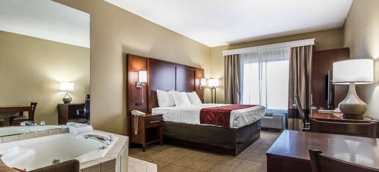 埃芬汉舒适套房酒店(Comfort Suites Effingham)图片