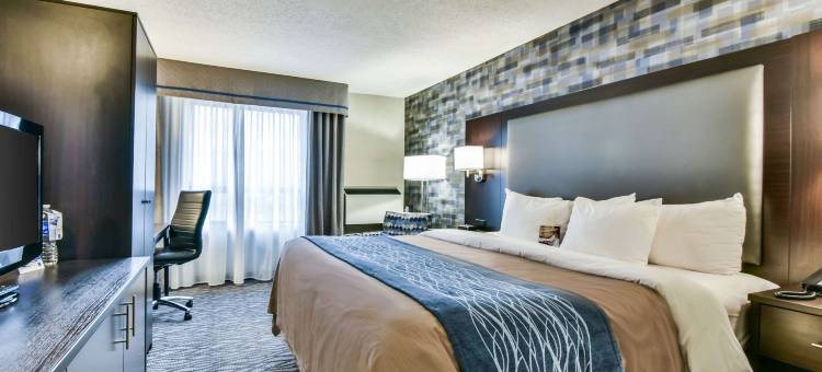 机场北舒适酒店(Comfort Hotel Airport North)图片