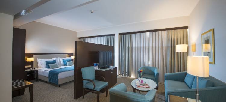 丽笙蓝标酒店-安卡拉(Radisson Blu Hotel, Ankara)图片