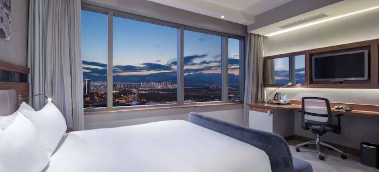 布尔萨欢朋酒店(Hampton by Hilton Bursa)图片