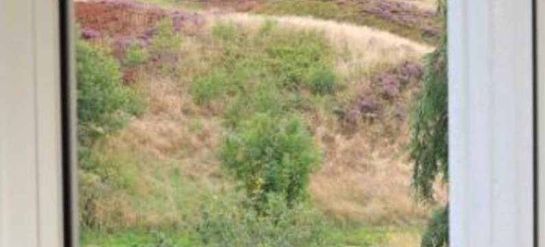 林恩达尔宾馆及餐厅(Lyng Dal Hotel og Restaurant)图片