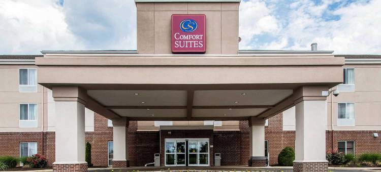 舒适套房酒店(Comfort Suites)图片