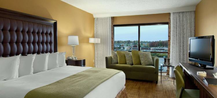 圣路易斯机场希尔顿酒店(Hilton St. Louis-Airport)图片