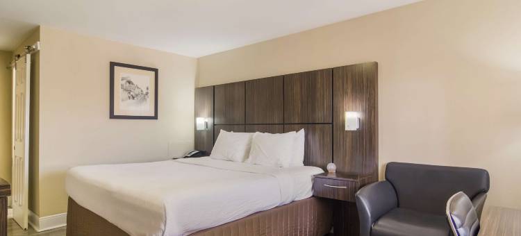 海湾站贝斯特韦斯特酒店(Best Western Bayfront)图片