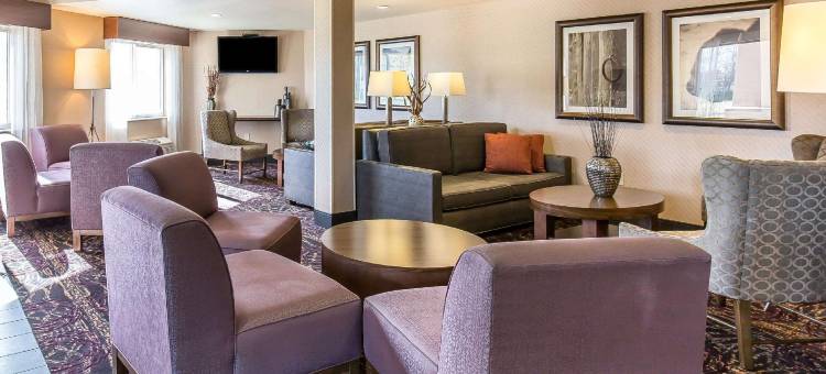 市场机场舒适酒店(Comfort Inn & Suites Market - Airport)图片