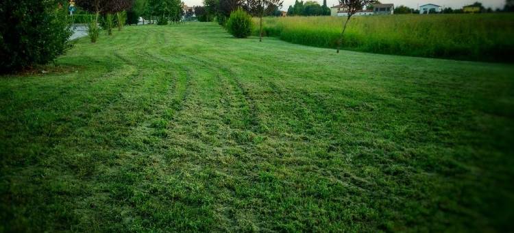 绿色天空住宿加早餐旅馆(Verde Cielo Bed and Breakfast)图片