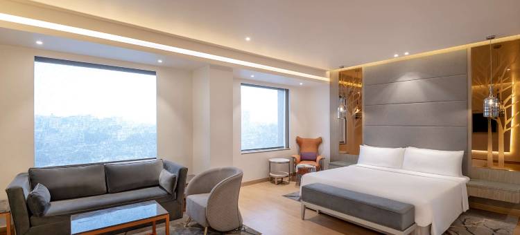 德里NCR-卡萨比塔丽笙蓝标酒店(Radisson Blu Towers Kaushambi Delhi NCR)图片