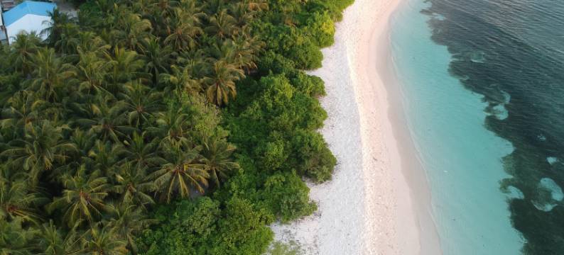 胡杜维拉酒店(Hudhu Velaa)图片