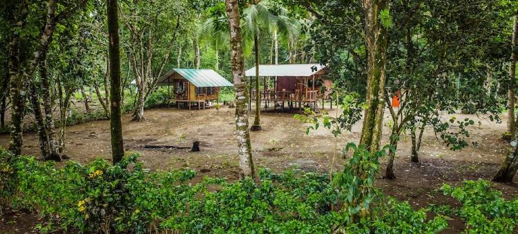 加纳迪托生态旅馆(Playa Ganadito Ecolodge)图片