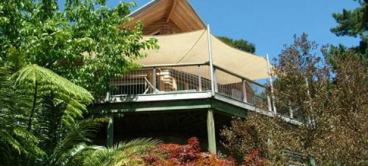 Waiotahi Valley Lodge图片