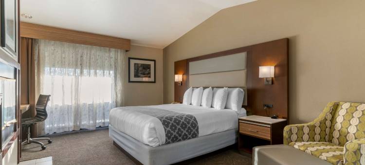 森林公园贝斯特韦斯特优质酒店(Best Western Plus Forest Park Inn)图片