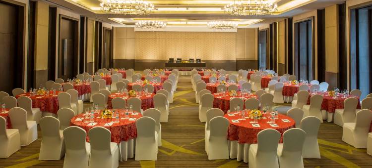 古瓦哈蒂丽笙酒店(Radisson Blu Hotel Guwahati)图片