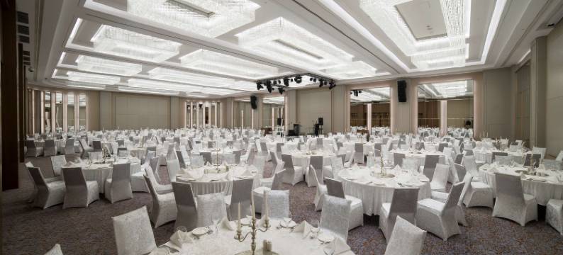 丽笙蓝标酒店-开塞利(Radisson Blu Hotel, Kayseri)图片