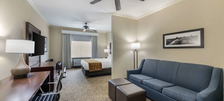 沃斯堡 - 化石溪舒适套房酒店(Comfort Inn & Suites Fort Worth - Fossil Creek)图片