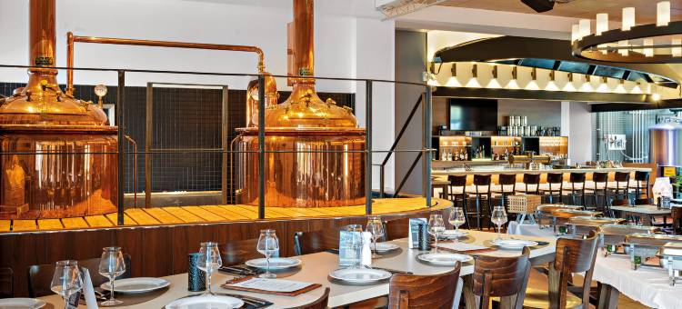 Hey Lou法兰克福机场酒店(Hey Lou Hotel Frankfurt Airport)图片