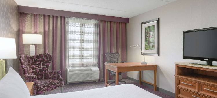 斯普林菲尔德希尔顿花园旅馆(Hilton Garden Inn Springfield, MA)图片