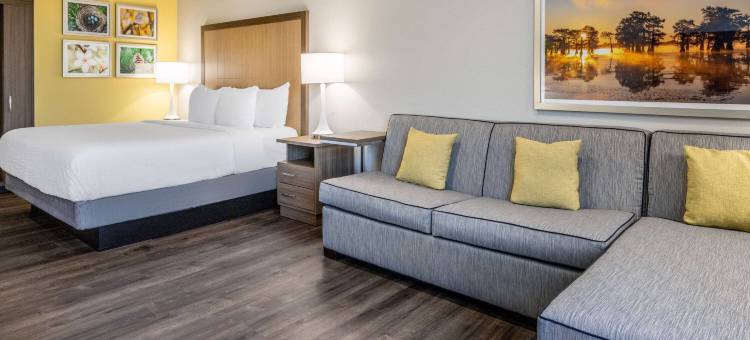 温汉姆酒店旗下拉昆塔温德姆酒店套房-瓦尔多斯塔(La Quinta Inn & Suites by Wyndham Valdosta)图片