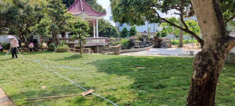 左步村如苑民宿(左联大街分店)图片