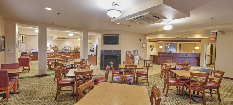 斯普林菲尔德拉昆塔温德姆套房酒店(La Quinta Inn & Suites by Wyndham Springfield)图片