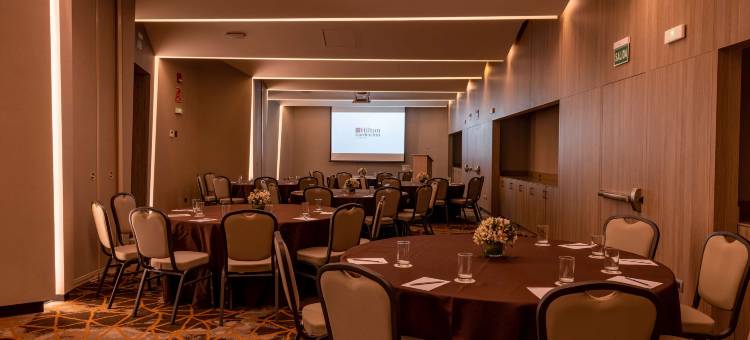 希尔顿花园酒店-利马米拉弗洛雷斯(Hilton Garden Inn Lima Miraflores)图片