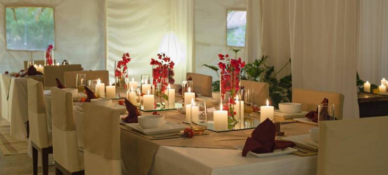 什莱亚斯瑜伽精修酒店(Shreyas Retreat)图片