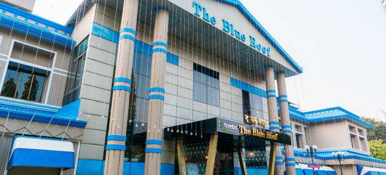 Treebo 蓝屋顶(Treebo the Blue Roof)图片