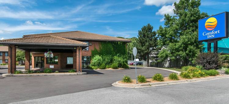 舒适酒店(Comfort Inn)图片