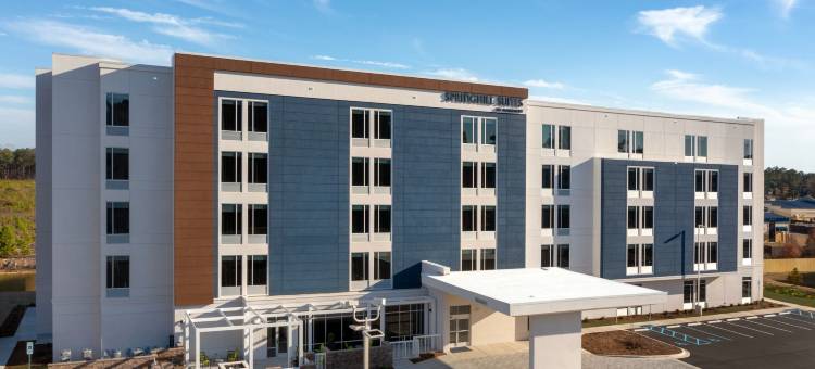 费耶特维尔 I 95万豪春丘酒店(SpringHill Suites Fayetteville I 95)图片