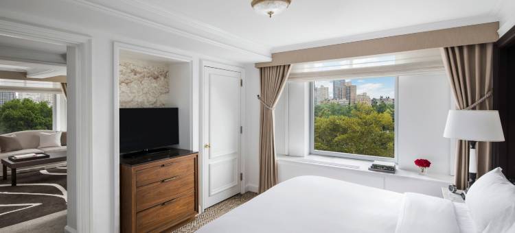纽约中央公园丽思卡尔顿酒店(The Ritz-Carlton New York, Central Park)图片