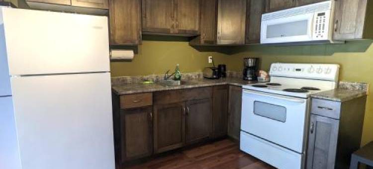 迪尔维尤小屋旅馆(Deerview Lodge & Cabins - Princeton BC)图片