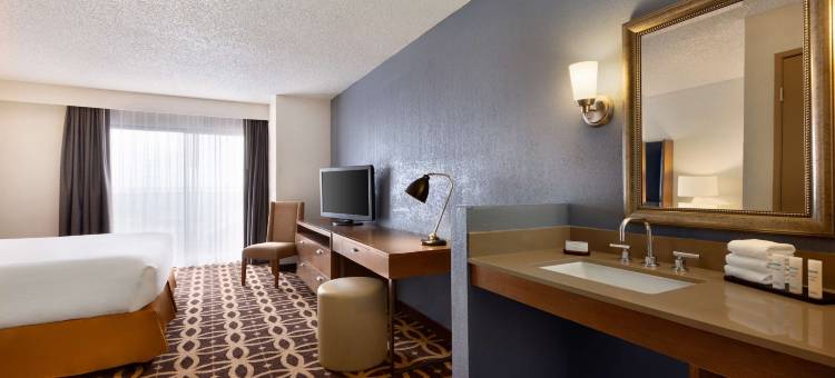 达拉斯沃斯堡国际机场南希尔顿Embassy Suites酒店(Embassy Suites by Hilton Dallas DFW Airport South)图片