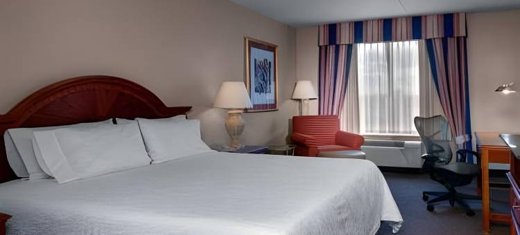 底特律地铁机场希尔顿花园客栈酒店(Hilton Garden Inn Detroit Metro Airport)图片