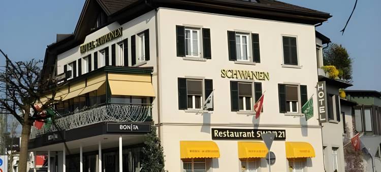 施瓦恩维尔酒店(Hotel Schwanen Wil)图片
