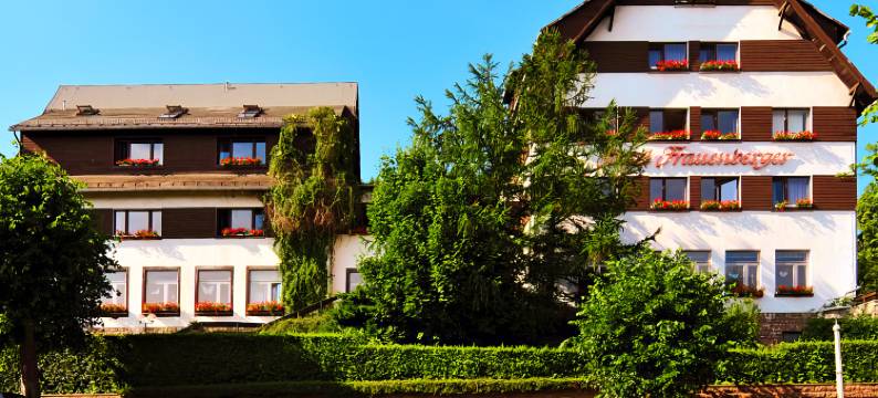 弗拉恩贝格酒店(Wagners Hotel im Thüringer Wald)图片