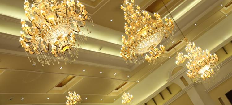 吉塔萨罗瓦尔波蒂科帕尼帕特酒店(Geeta Sarovar Portico, Panipat)图片