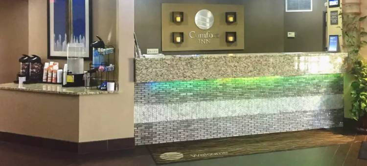 粮谷舒适酒店-堪萨斯城(Comfort Inn Grain Valley - Kansas City)图片