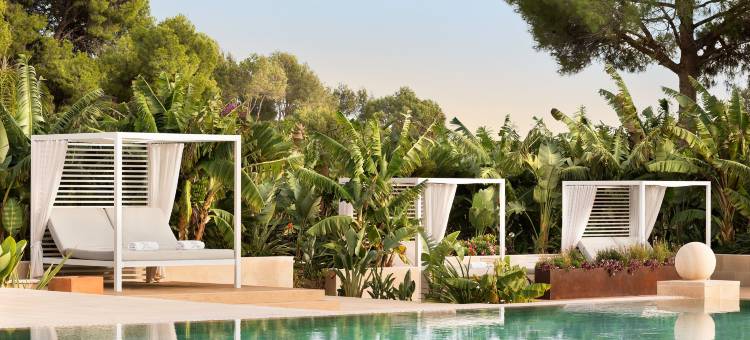 马达瓦尔马略卡瑞吉度假酒店(The St. Regis Mardavall Mallorca Resort)图片