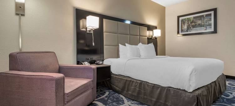 舒适酒店和套房利物浦 - 锡拉丘兹(Comfort Inn & Suites Liverpool - Syracuse)图片