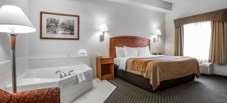 罗林斯舒适酒店(Comfort Inn & Suites)图片