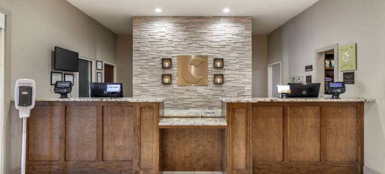 舒适套房酒店(Comfort Inn & Suites Valdosta)图片