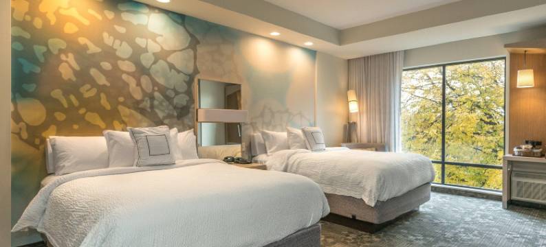 西斯普林菲尔德万怡酒店(Courtyard by Marriott West Springfield)图片