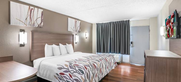 红屋顶旅馆里士满 - 机场/桑斯顿(Red Roof Inn Richmond - Airport/ Sandston)图片