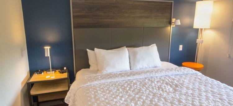 弗吉尼亚诺福克机场希尔顿Tru酒店(Tru by Hilton Norfolk Airport)图片